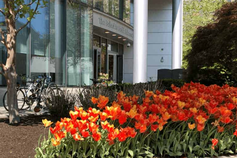 Bouvé College Endowed Graduate Scholarship Fund